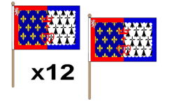 Pays de la Loire Hand Flags